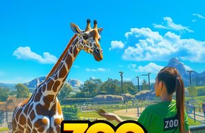 Zoo Manager Simulator Review Zoo Manager Simulator Review