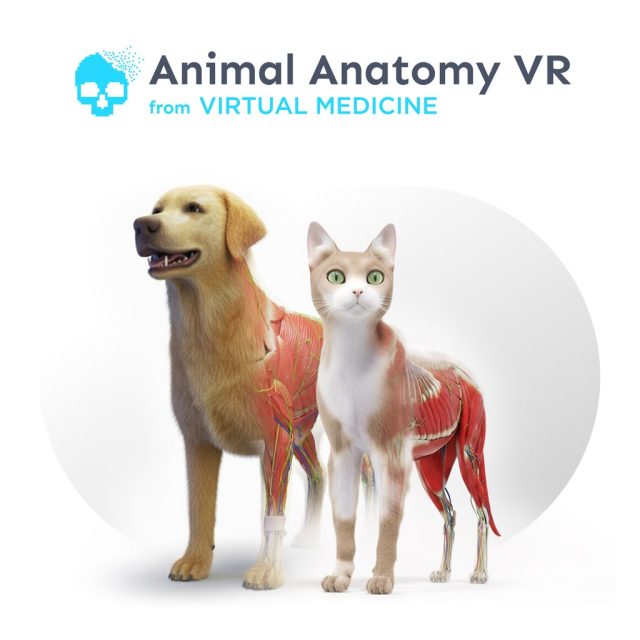 Animal Anatomy VR Review