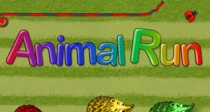 Animal Run for Kids Review Animal Run for Kids Review