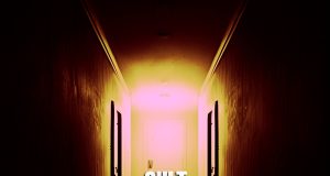 Cult -Vein- Review Cult -Vein- Review