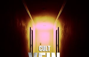 Cult -Vein- Review Cult -Vein- Review
