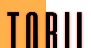 Torii Review Torii Review