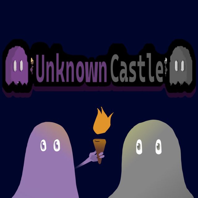 Unknown Castle Review