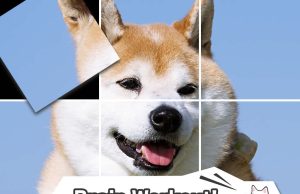 Brain Workout! Spinning Dog Puzzle Review Brain Workout! Spinning Dog Puzzle Review