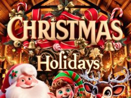 Christmas Holidays Review