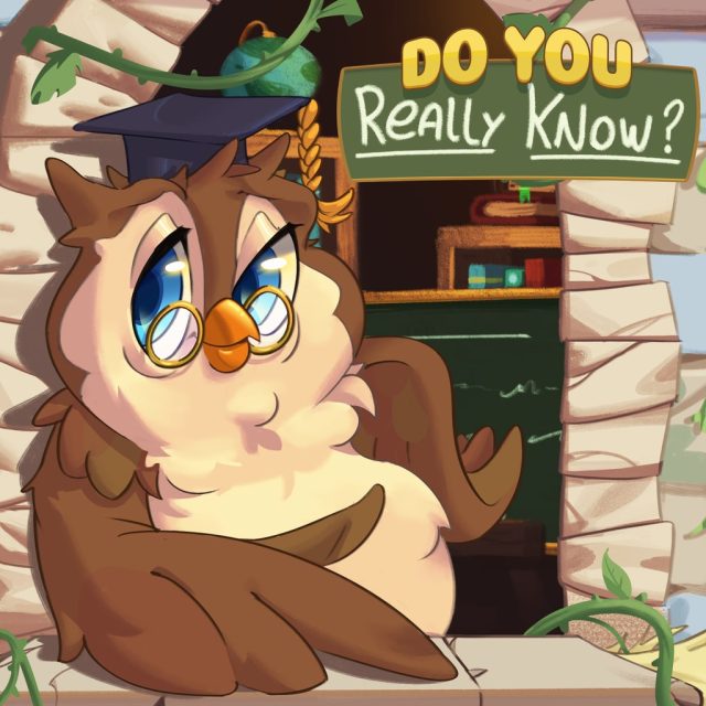 Do You Really Know? Review