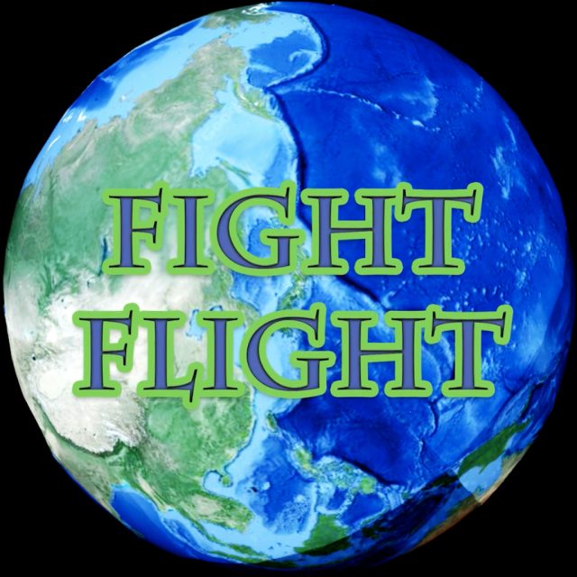 Fight Flight Review Fight Flight Review