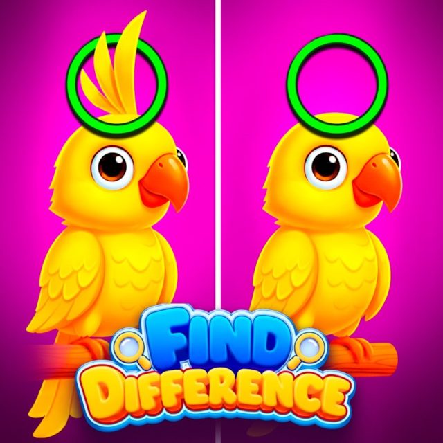 Find Difference Review