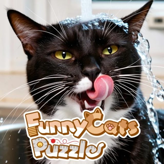 Funny Cats Puzzle Review