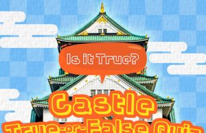 Is it True? Castle True-or-False Quiz Review Is it True? Castle True-or-False Quiz Review