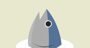 Where’s the Tuna!? Review Where’s the Tuna!? Review