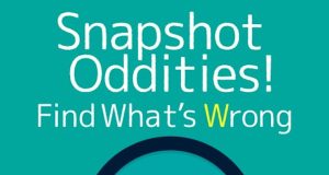 Snapshot Oddities ! Find What’s Wrong Review Snapshot Oddities ! Find What’s Wrong Review