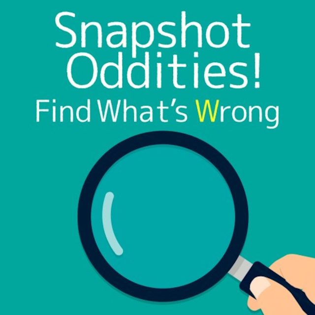 Snapshot Oddities ! Find What’s Wrong Review