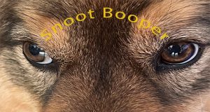 Snoot Booper Review Snoot Booper Review