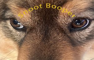Snoot Booper Review Snoot Booper Review