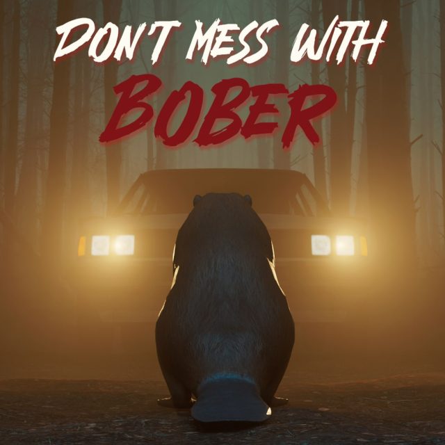 Don't Mess With Bober Review
