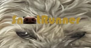 Snoot Runner Review Snoot Runner Review