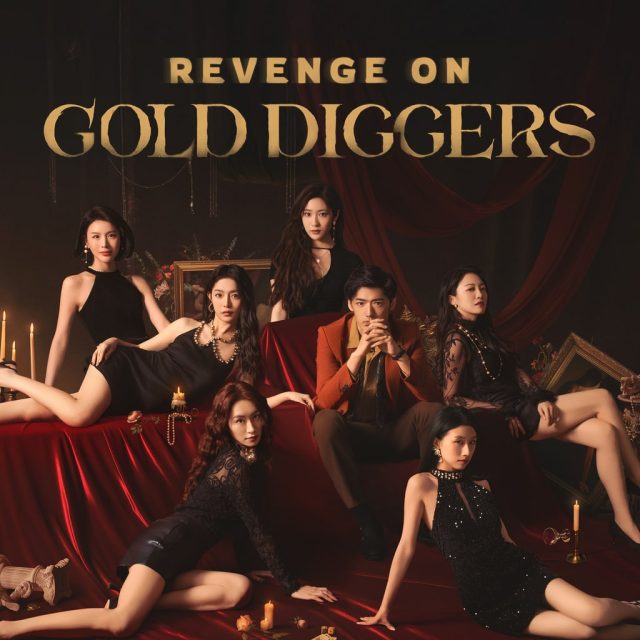 Revenge On Gold Diggers Review
