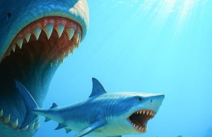 Shark Simulator: Ocean Predator Survival Review Shark Simulator: Ocean Predator Survival Review