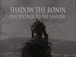 Shadow the Ronin: The Revenge to the Samurai Review