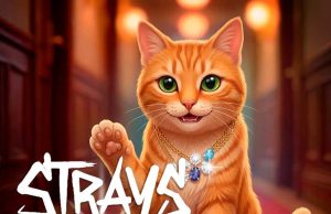 Strays POV Tales Review Strays POV Tales Review
