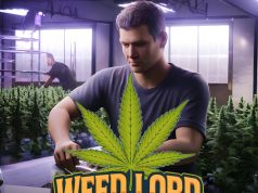 Weed Lord Simulator Review Weed Lord Simulator Review