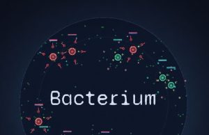 Bacterium Review Bacterium Review
