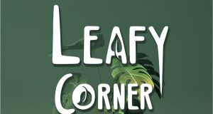 Leafy Corner Review Leafy Corner Review