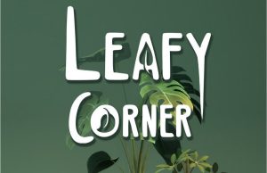Leafy Corner Review Leafy Corner Review