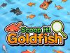 Super Goldfish Scooping Review Super Goldfish Scooping Review