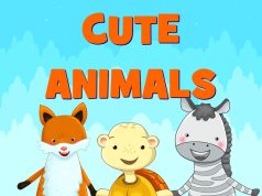 Cute Animals Review Cute Animals Review