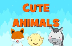 Cute Animals Review Cute Animals Review