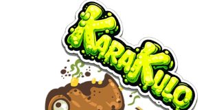 Karakulo 21 Review Karakulo 21 Review