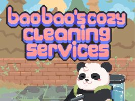 Bao Bao's Cozy Cleaning Services Review