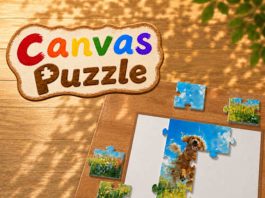 Canvas Puzzle Review