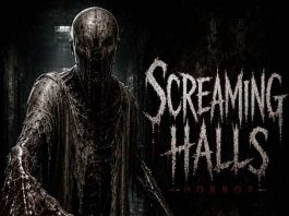 Screaming Halls: Horror Review